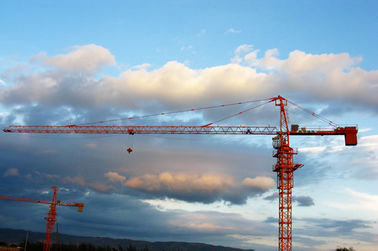 La costruzione di edifici d'acciaio della sezione dell'albero Cranes gli affitti, sollevamento idraulico della gru a torre